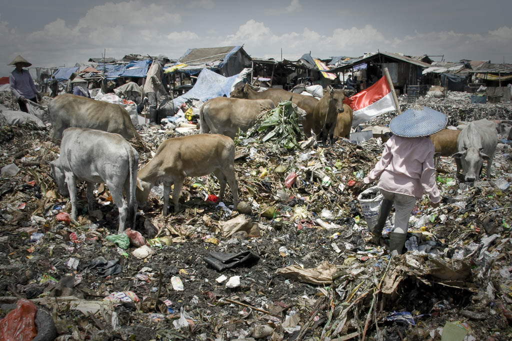 Indonesian shiny flag flew sarcastically surrounded by garbage. Makkasar dump. Indonesia.